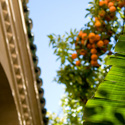 Riad Meknes la maison d'à côté